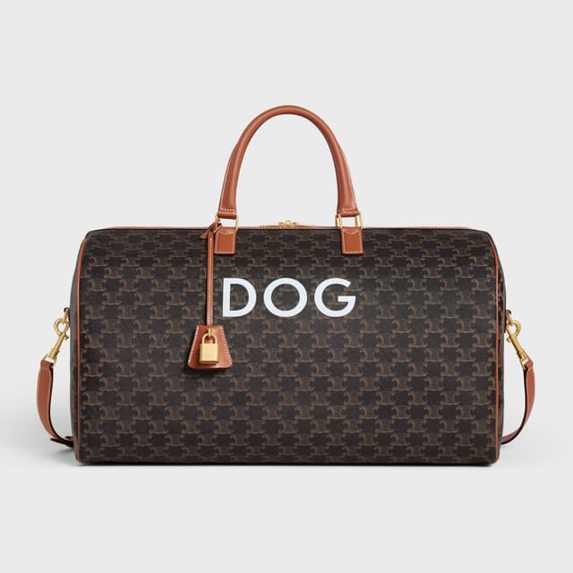 CELINE Travel 50 in Triomphe Canvas with Dog Print