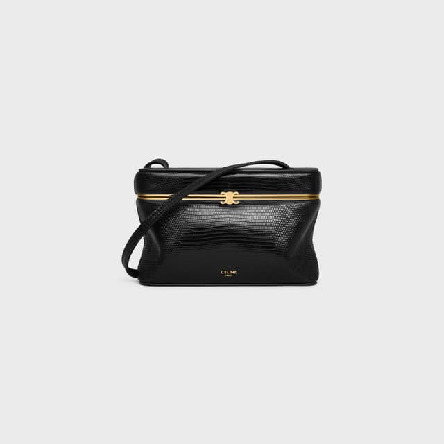 CELINE thin triomphe frame IN lizard