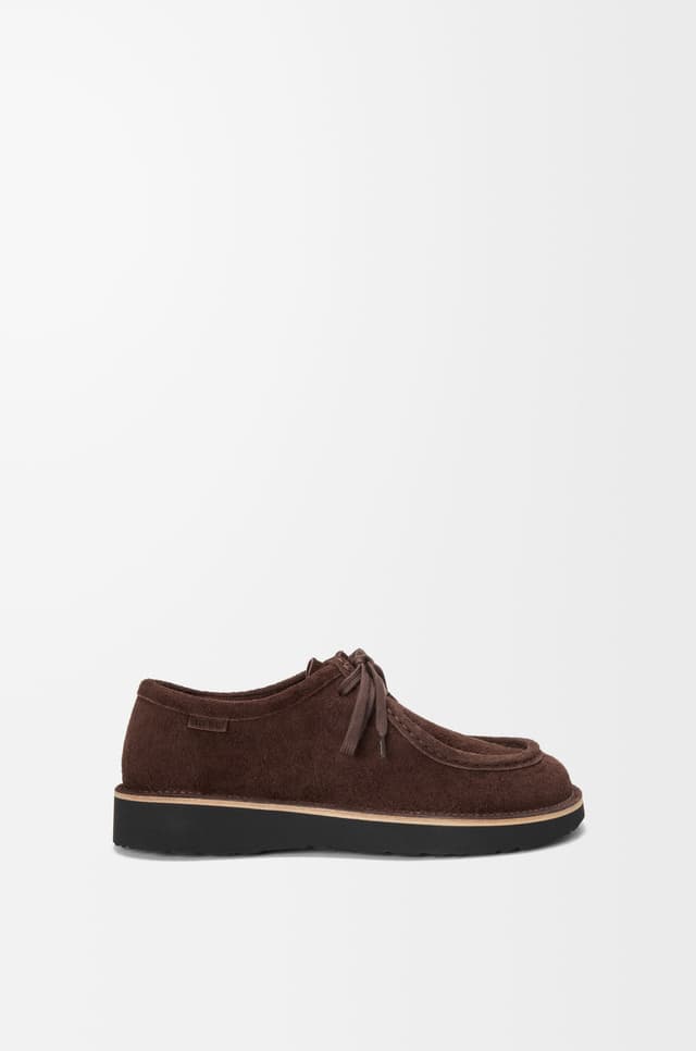 LOEWE Faro lace-up in suede calfskin