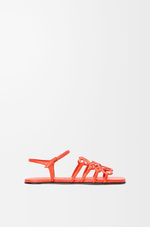 LOEWE Petal Anagram sandal in calfskin